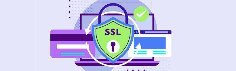 Web Siteniz için En İyi SSL Türünü Seçme - Atak Domain