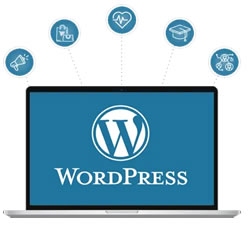 WordPress Nedir? Yeni Başlayanlar için Kapsamlı Kılavuz - Atak Domain