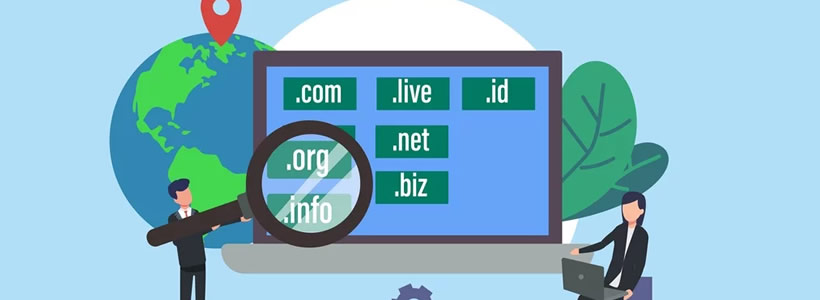 Domain Türleri Nelerdir?