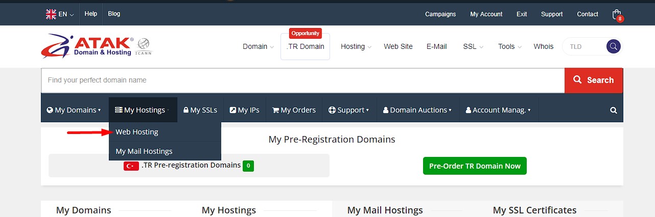 How to Manage Hosting and Email? - Atak Domain