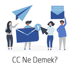 CC Ne Demek - Domain Name API