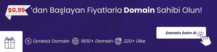 Domain Sorgulama