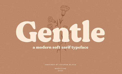 Most Modern Fontsf for WordPress