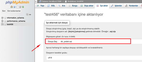 Step-by-Step Guide to Restoring MySQL Database with phpMyAdmin via cPanel