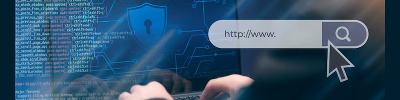 Domain Validated SSL Certificate (Quick Setup SSL, DV)