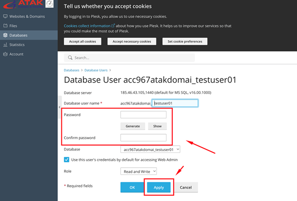 How to Retrieve My MSSQL Database Access Information?