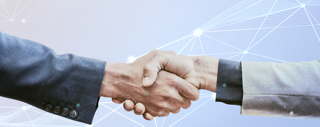 Handshake (HNS) Domain Nedir? Web3 D&uuml;nyasında Markanızı Nasıl Korursunuz?