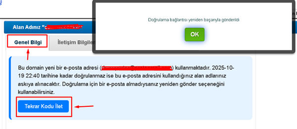 WHOIS Doğrulama S&uuml;reci Nedeniyle Askıya Alınan Alan Adı İ&ccedil;in Ne Yapmalıyım?