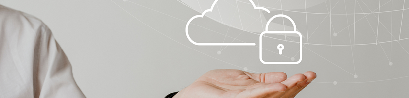 Can an SSL Certificate Be Transferred?