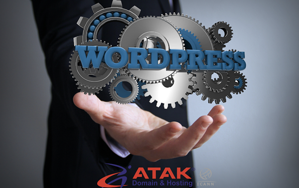 Wordpress Kurulumu - Adım Adım Wordpress Nasıl Kurulur