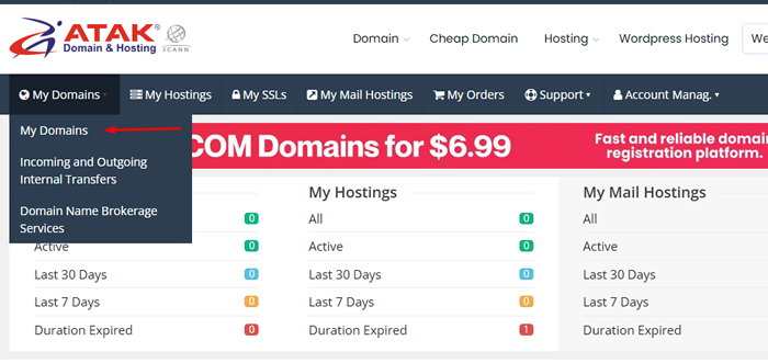 How to Manage Domain DNS?