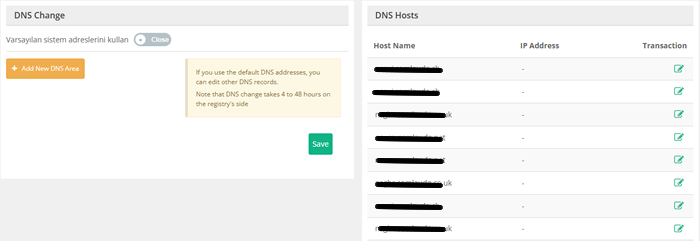 How to Manage Domain DNS?