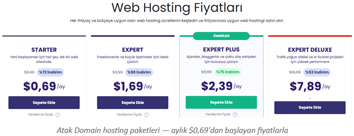 Hosting Nasıl Alınır?