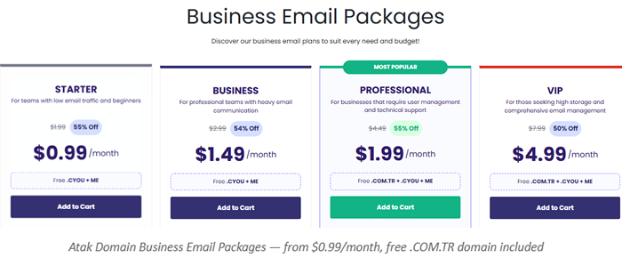 Business Email Pricing