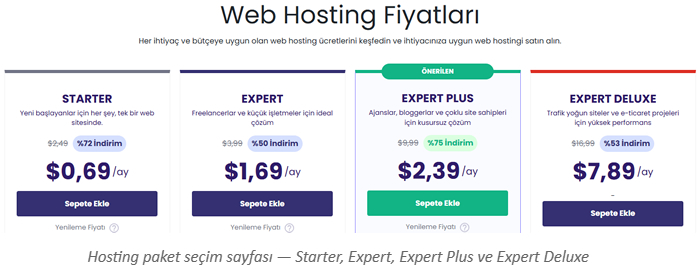 Hosting Nasıl Alınır?