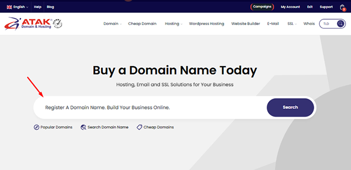 How to Buy a Domain Name in 5 Minutes: Step-by-Step Guide