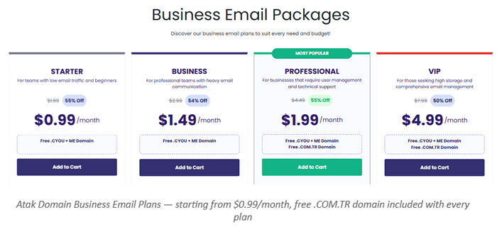 What Is Business Email?