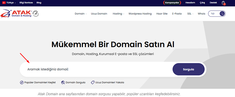 Domain Nasıl Alınır? G&uuml;ncel Rehber &ndash; 5 Dakikada Satın Al