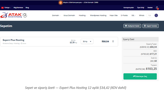 Hosting Nasıl Alınır?