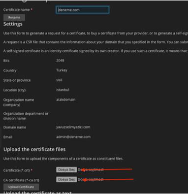 Plesk Panel SSL Kurulumu Nasıl Yapılır?