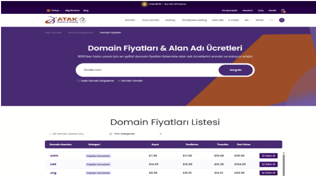 Domain Fiyatları Neden Farklı? En Ucuz .COM Nasıl Alınır?