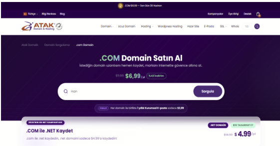 .com Domain Nasıl Alınır? Adım Adım Domain Sorgulama ve Tescili