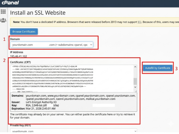 cPanel’de SSL Kurulumu Nasıl Yapılır?