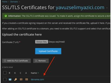 Plesk Panel SSL Kurulumu Nasıl Yapılır?