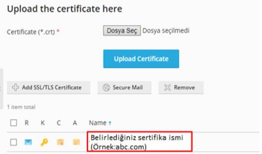 Plesk Panel’de SSL Sertifikası Kurulumu Nasıl Yapılır?