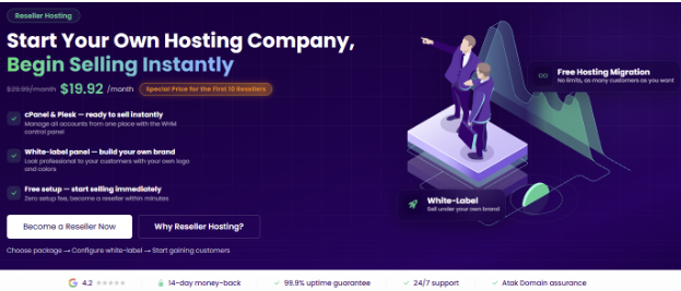 What Is Reseller Hosting?How to Start Selling Web Hosting