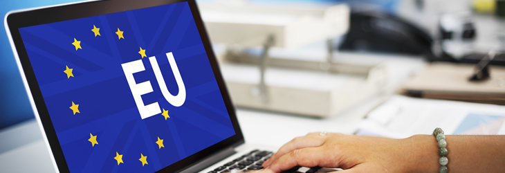 .EU Domain Kayıt Rehberi:Avrupa Birliği Domaini Nasıl Alınır?