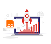 .co Domain Nedir?