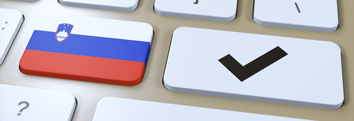 .RU Domain Satın Alma Rehberi: ESIA Zorunluluğu, Trustee Hizmeti ve Transfer S&uuml;reci