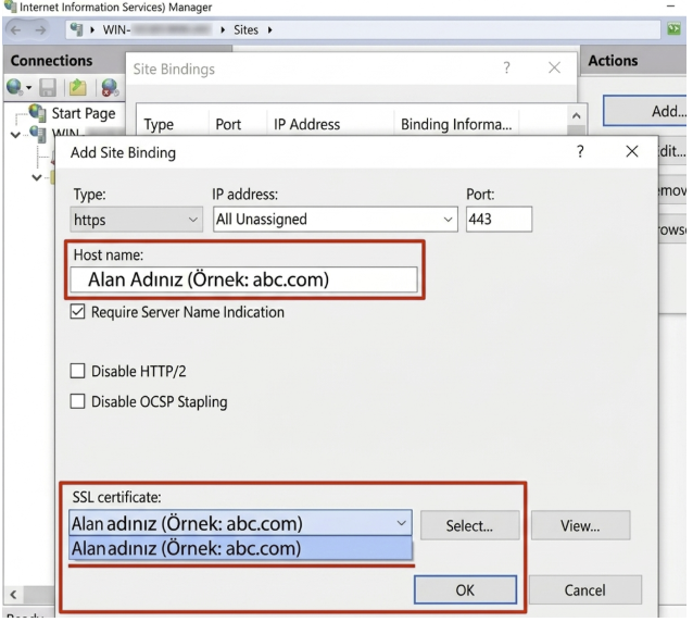 How to Install an SSL Certificate on IIS?