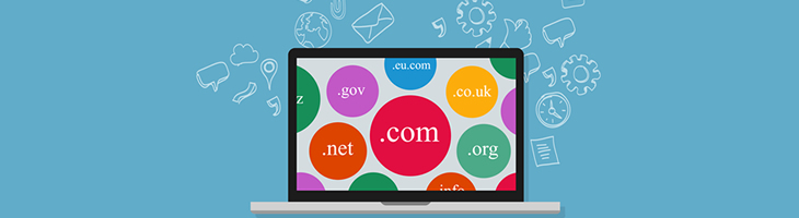 Avrupa Pazarı İ&ccedil;in Domain Stratejisi:.com, .eu veya ccTLD mi?