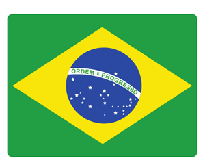 .COM.BR Domain Registration Guide