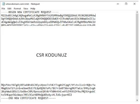 IIS ile CSR Kodu Nasıl Oluşturulur?