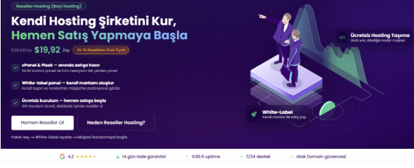 Reseller Hosting Nedir? Web Hosting Satışına Nasıl Başlarım?