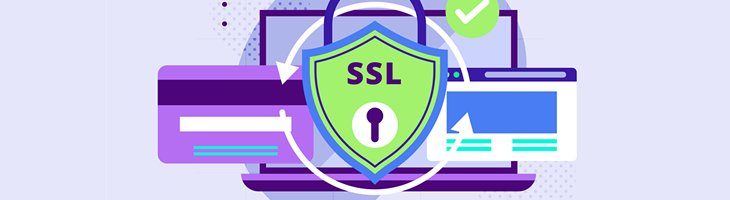 Kostenlose SSL-Installation: Let's Encrypt und ZeroSSL (Leitfaden 2026)