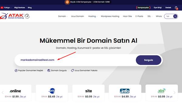 Domain Nasıl Alınır? 2026 Adım Adım Domain Kayıt Rehber