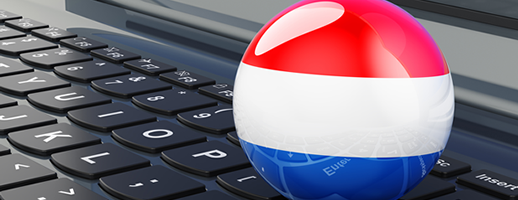 Hollanda'da Google'da Zirveye Oynayın:.nl Domain Satın Al