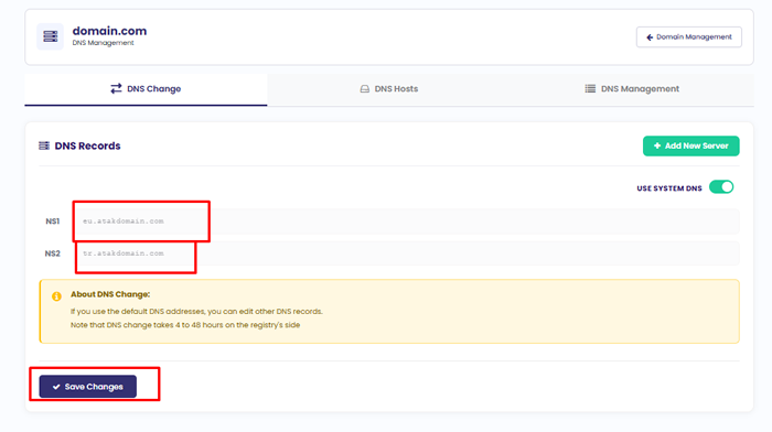 What is DNS and How to Update DNS Information?